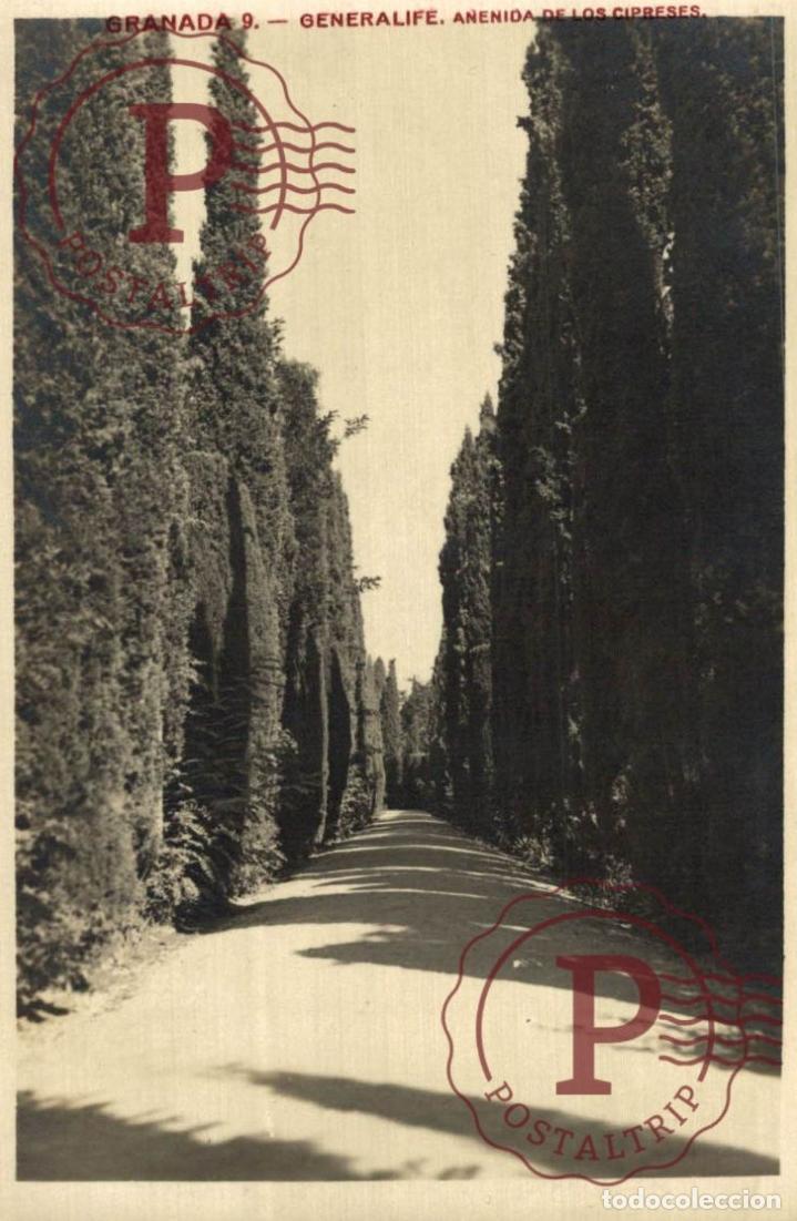Postales: GRANADA. Generalife - Avenida De Los Cipreses. ANDALUC&Iacute;A ESPA&Ntilde;A ESPAGNE