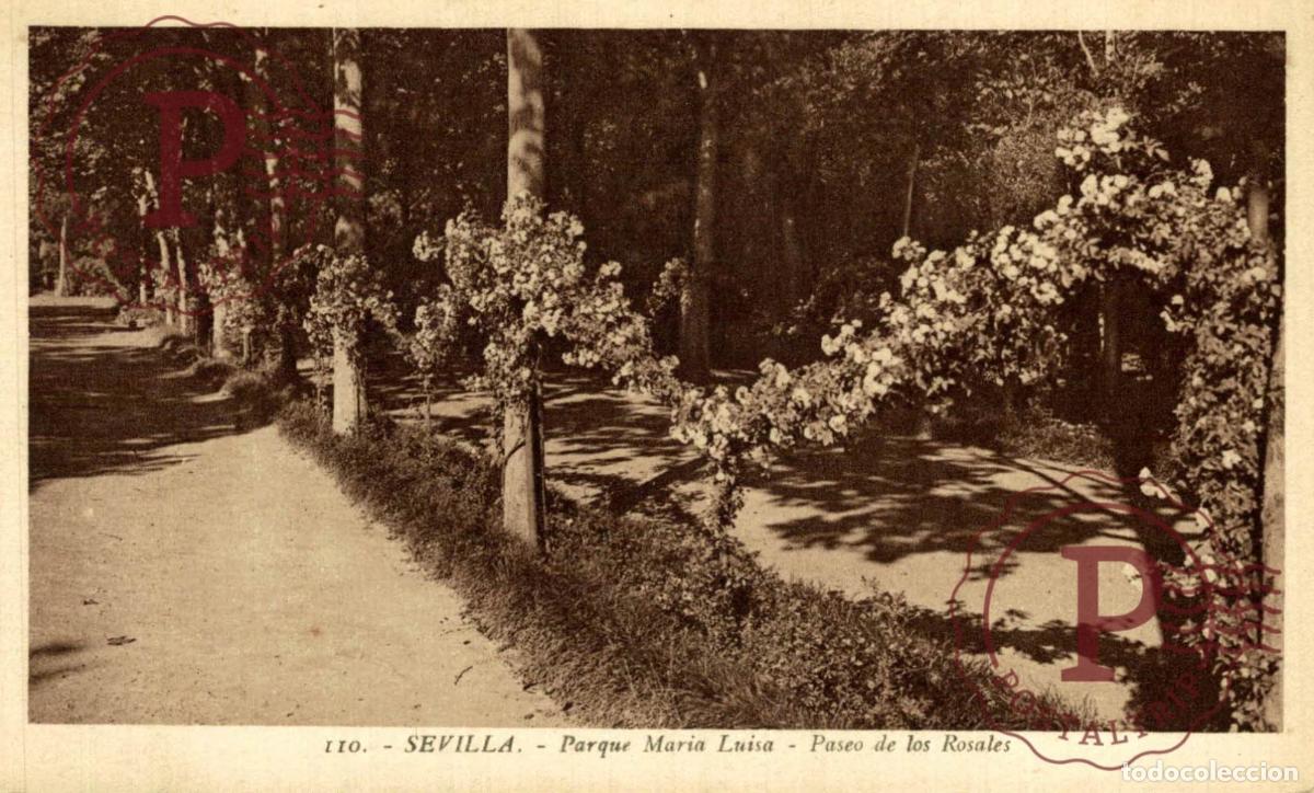 Postales: SEVILLA. Parque Mar&iacute;a Luisa - Paseo De Los Rosales