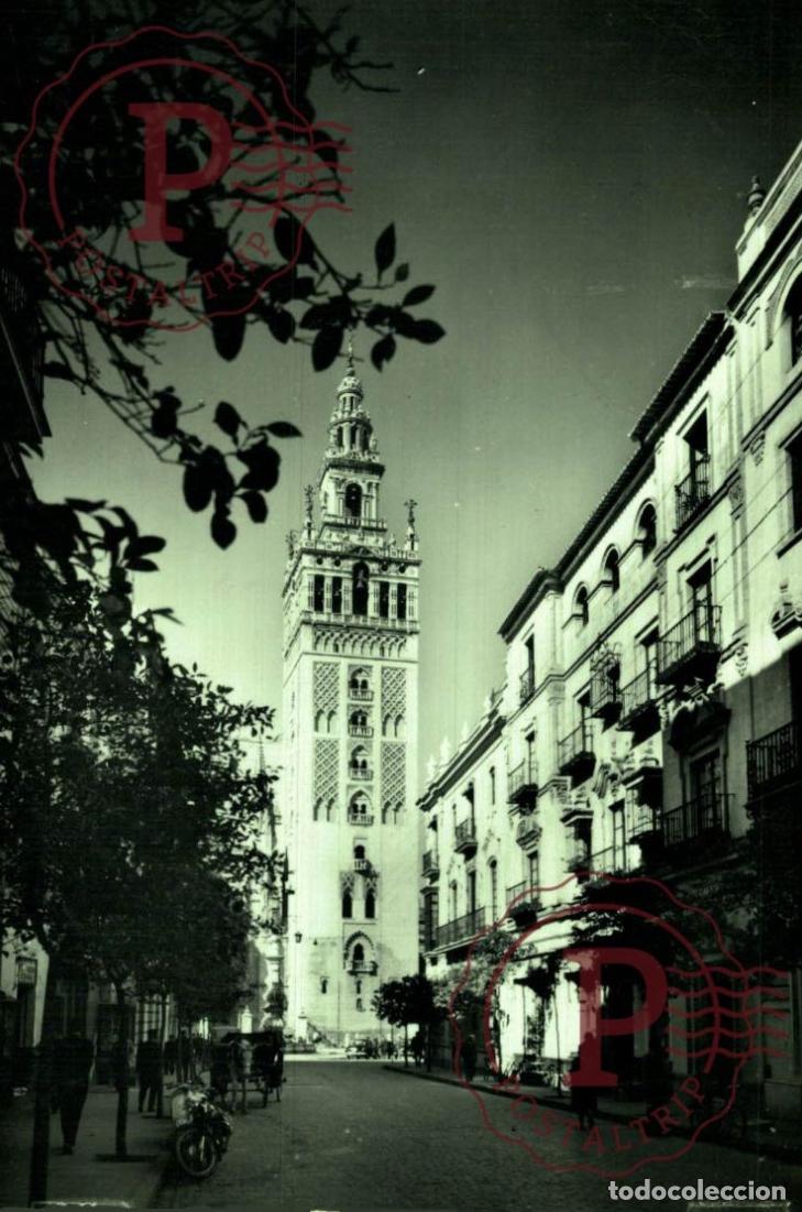 Postales: SEVILLA. La Giralda Vista Desde La Calle Mateos Gago. Postal Fotogr&aacute;fica. R.P.P.C.