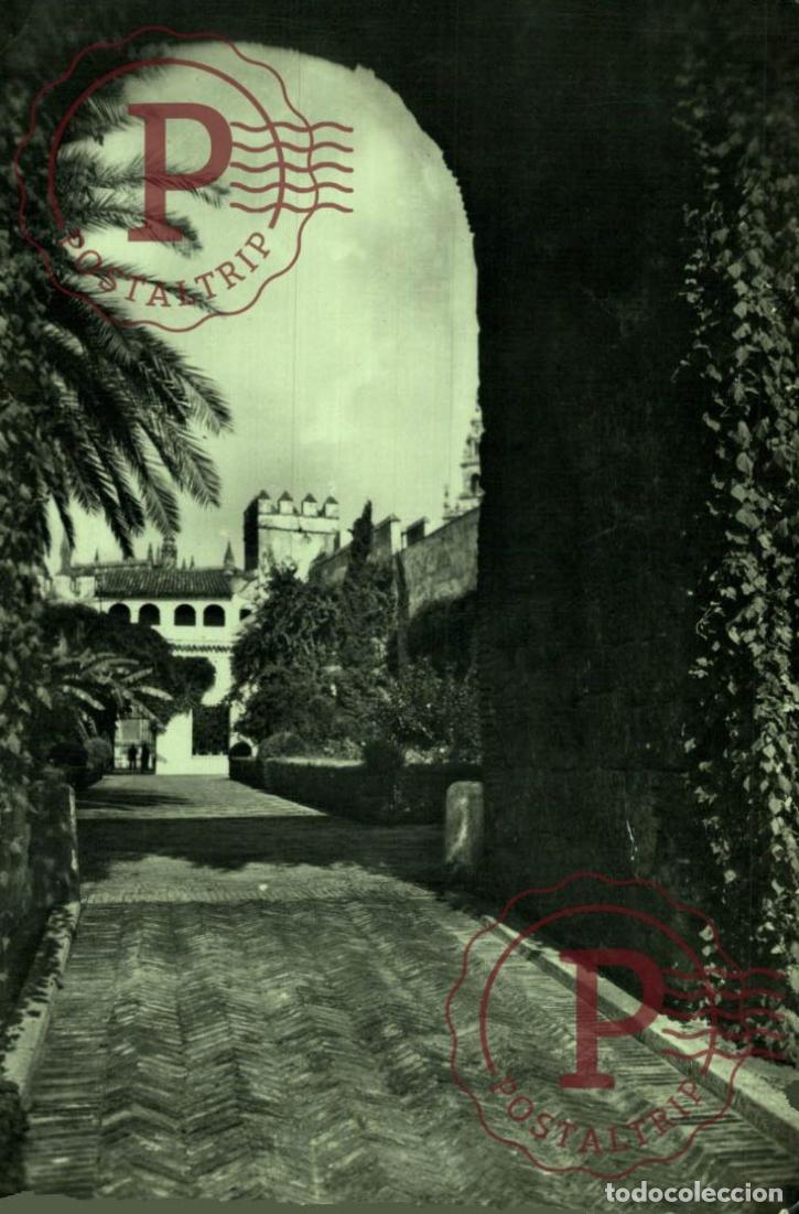 Postales: SEVILLA. Reales Alc&aacute;zares - Patio Del Le&oacute;n. . Postal Fotogr&aacute;fica. R.P.P.C.