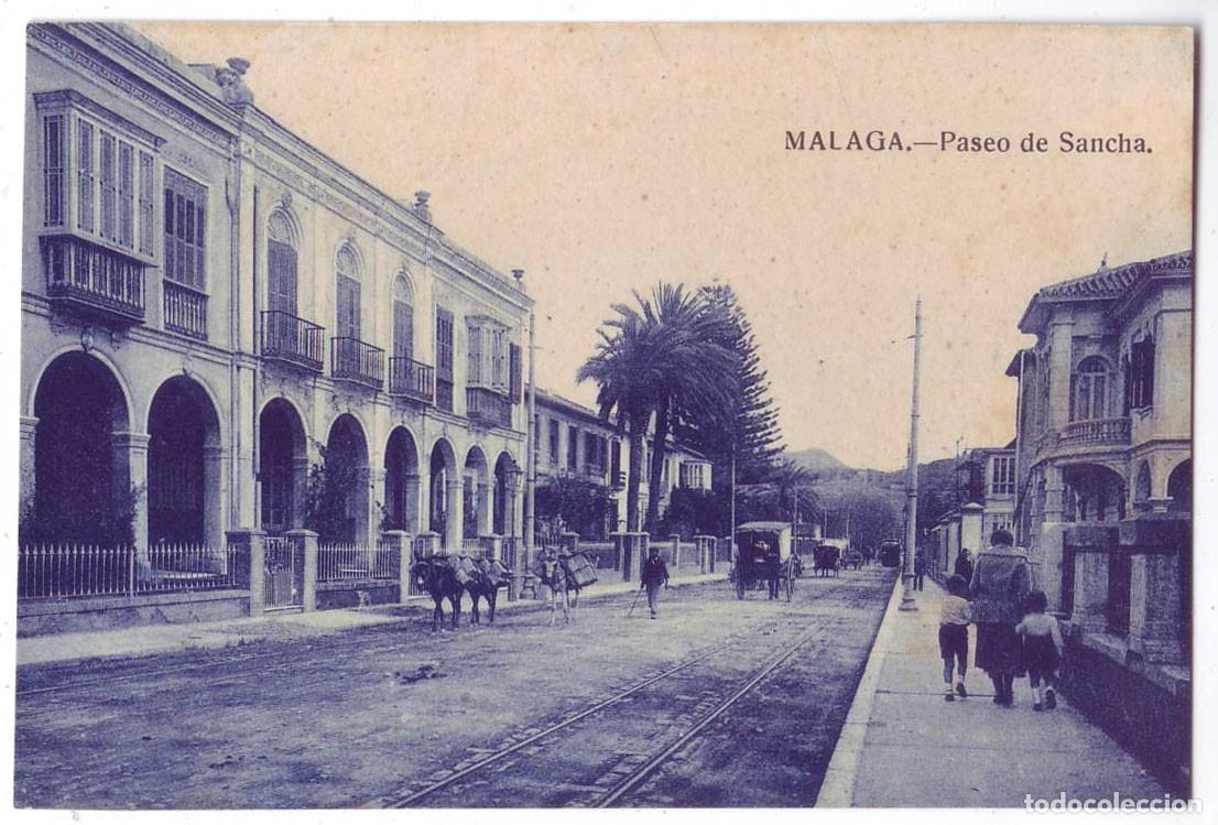 Postales: M&aacute;laga: Paseo de Sancha. Helios. No circulada (A&ntilde;os 10-20)