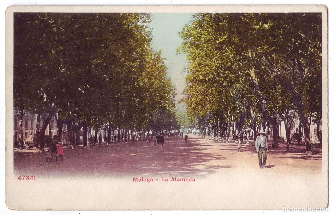 Postales: M&aacute;laga: La Alameda. Photoglob Z&uuml;rich (P.Z.). Sin dividir. No circulada (anterior a 1905)
