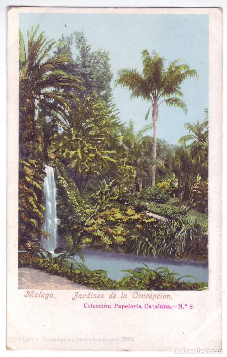 Postales: M&aacute;laga: Jardines de la Concepci&oacute;n. Papeler&iacute;a Catalana. Sin dividir. No circulada (anterior a 1905)