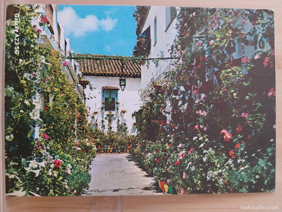 Postales: SEVILLA RINCON FLORIDA ED ARRIBAS 118 SC ORIGINAL FLORES MACETAS