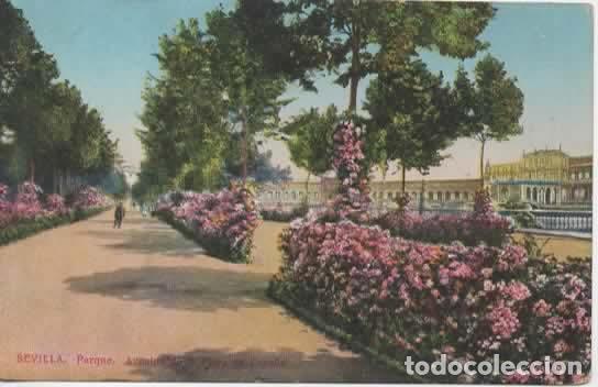 Postales: SEVILLA SIN ESCRIBIR PARQUE