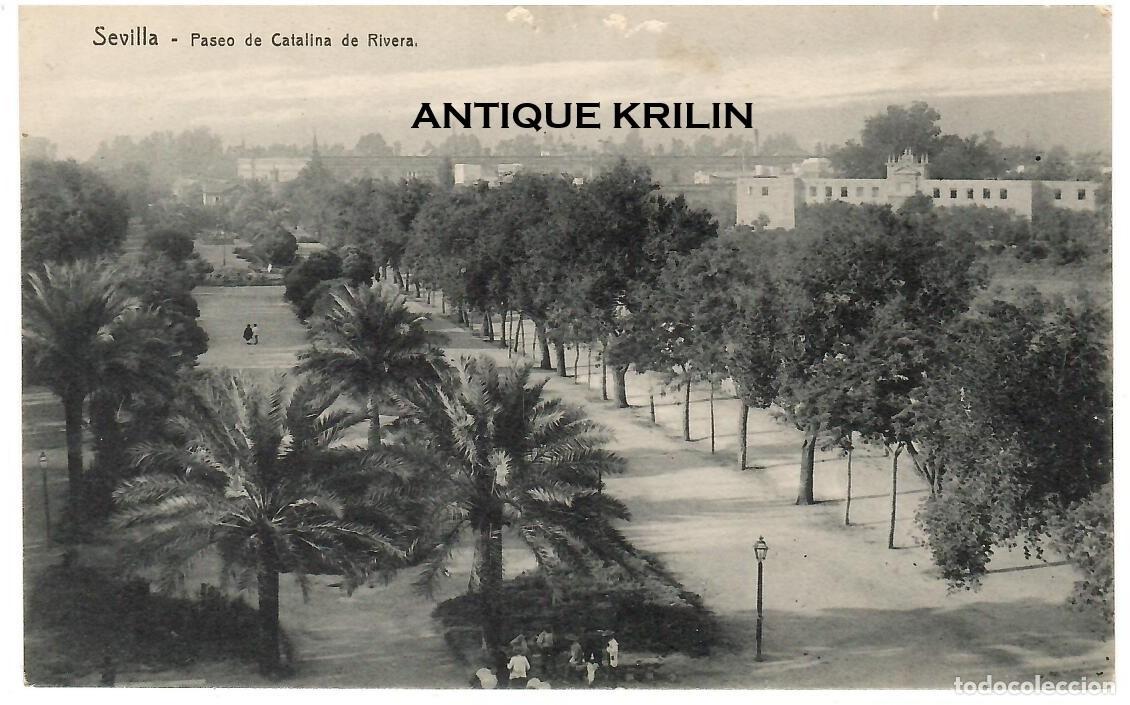 Postales: SEVILLA / PASEO DE CATALINA DE RIVERA / EDICION KNACKSTEDT & NATHER / SIN FRANQUEAR
