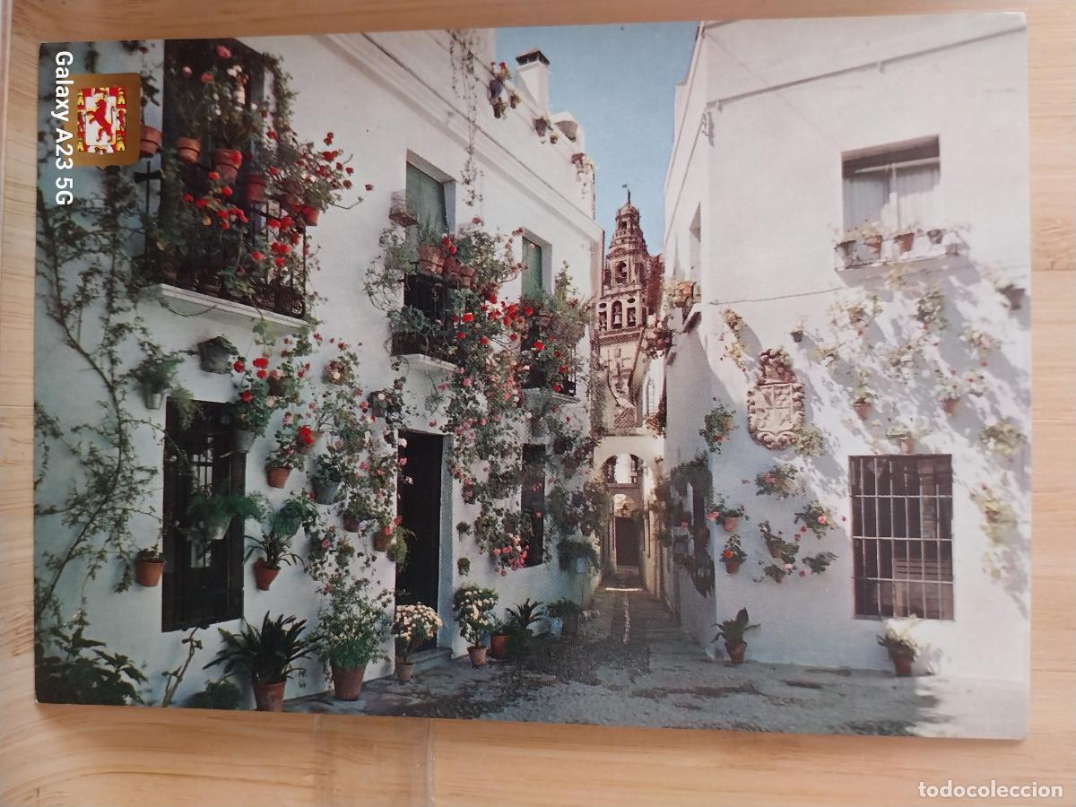 Postales: CORDOBA PATIO MACETAS CALLEJON ED FISA 717