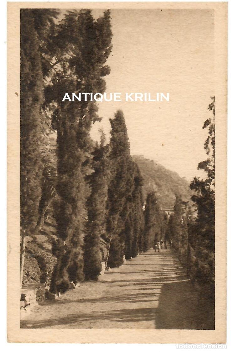 Postales: MALAGA N&ordm; 38 PASEO DE LOS JARDINES DE PUERTA OSCURA / EXCL. ARILVA / SIN FRANQUEAR