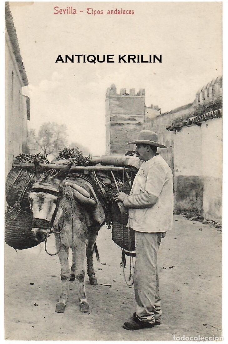 Postales: SEVILLA / TIPOS ANDALUCES / COLECCION M. CHAPARTEGUY N&ordm; 22327 / SIN FRANQUEAR