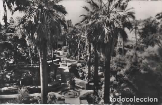 Postales: SEVILLA ESCRITA JARDINES ALCAZAR