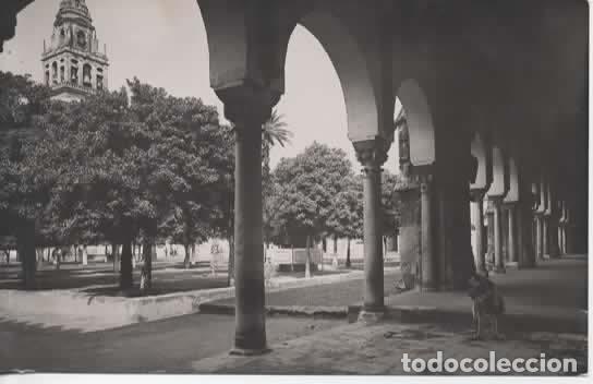 Postales: CORDOBA ESCRITA PATIO ARRAYANES