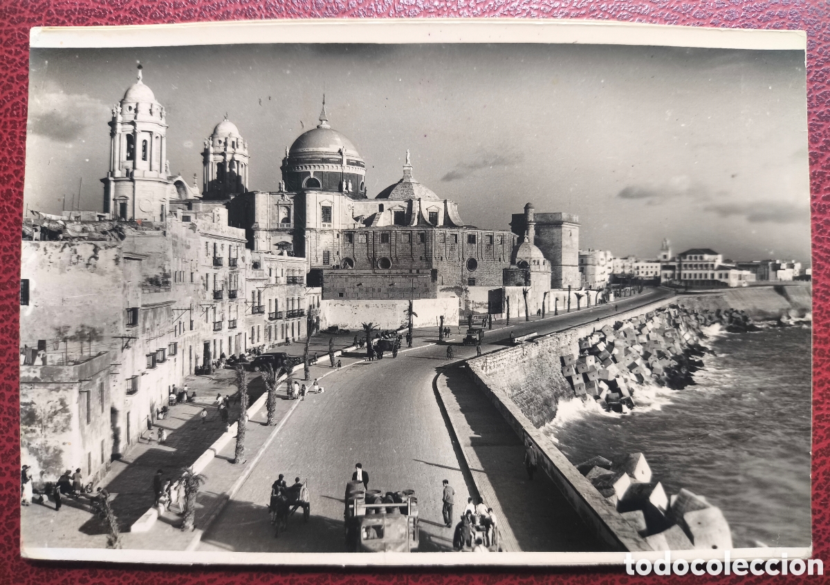 Postales: C&Aacute;DIZ AVENIDA DEL CAMPO DEL SUR POSTAL FOTOGR&Aacute;FICA C. 1955