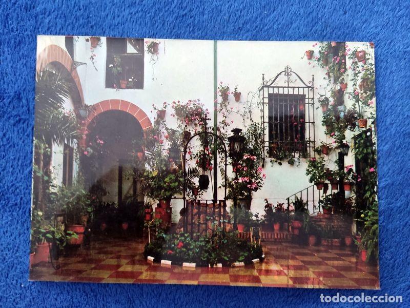 Postales: POSTAL ANDALUCIA MALAGA MARBELLA PATIO TIPICO NO CIRCULADA