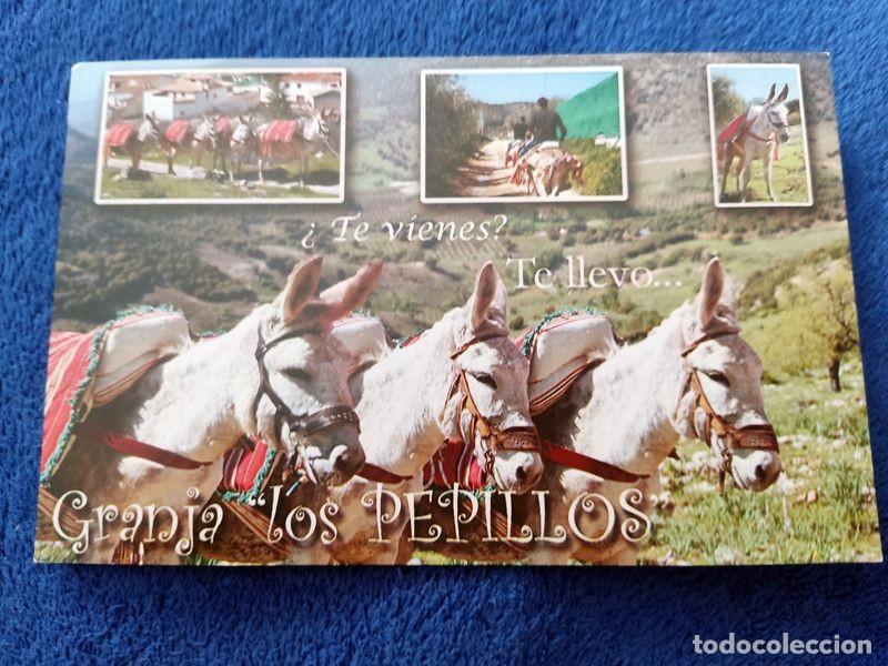 Postales: POSTAL ANDALUCIA JAEN FRAILES GRANJA LOS PEPILLOS NO CIRCULADA