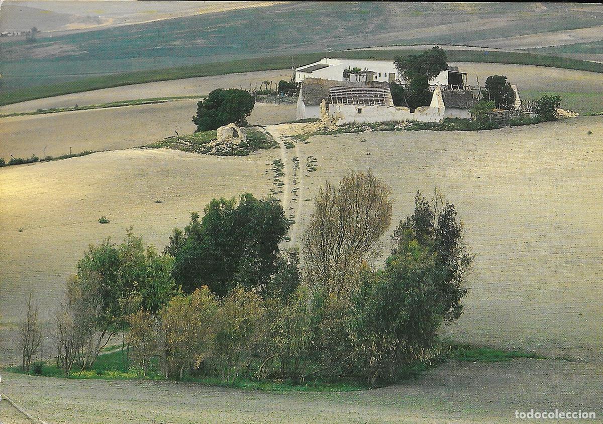 Postales: [POSTAL] Paisaje sin identificar. 21. Andaluc&iacute;a A&ntilde;o 1984 (circulada)