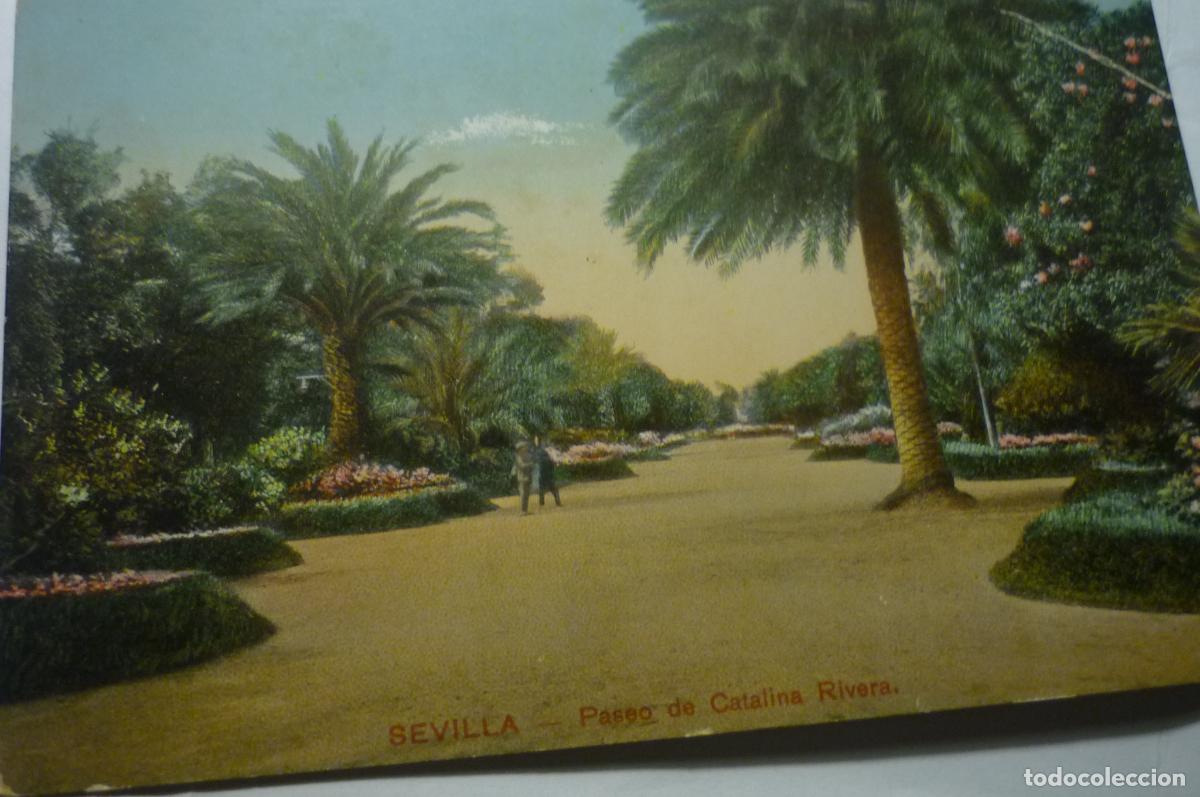 Postales: postal sevilla pl catalina rivera cm