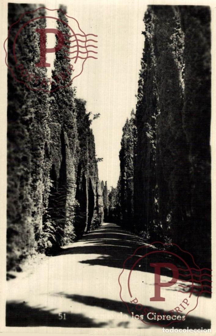 Postales: GRANADA. ALHAMBRA. Avenida De Los Cipreses. ESPA&Ntilde;A ESPAGNE SPAIN