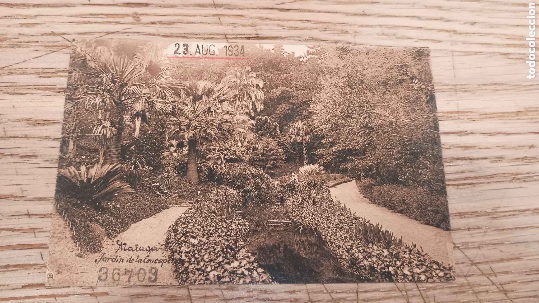 Postales: M&Aacute;LAGA - JARDINES DE LA CONCEPCI&Oacute;N - L. ROISIN, BARCELONA