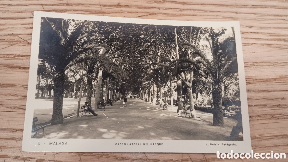 Postales: M&Aacute;LAGA - PASEO LATERAL DEL PARQUE - L. ROISIN