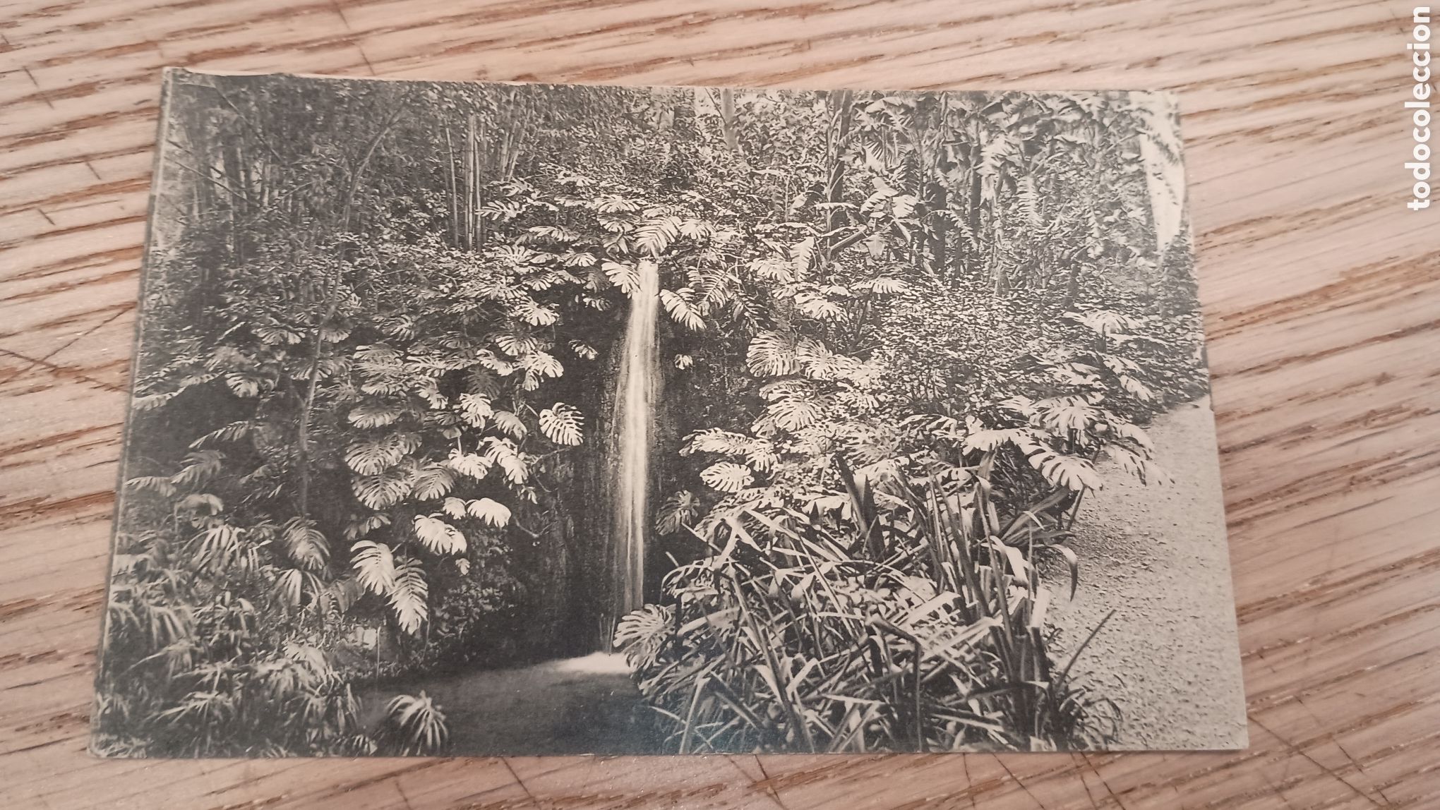 Postales: M&Aacute;LAGA - JARDINES DE LA CONCEPCI&Oacute;N. CASCADA - L. ROISIN, BARCELONA