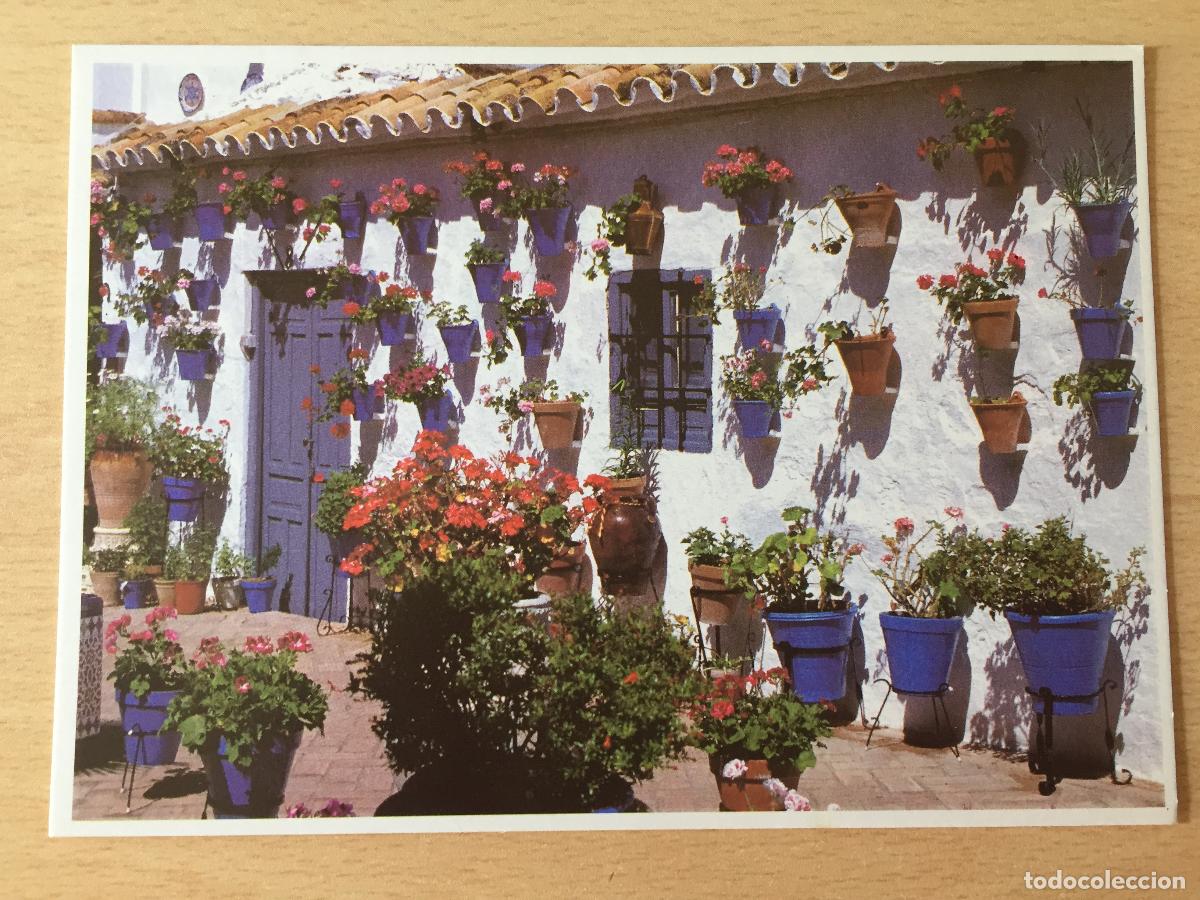 Postales: POSTAL - 1999 Patios de Cordoba