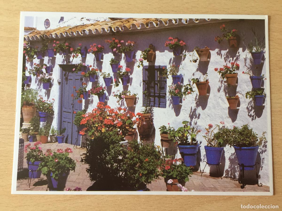 Postales: POSTAL - 1999 Patios de Cordoba