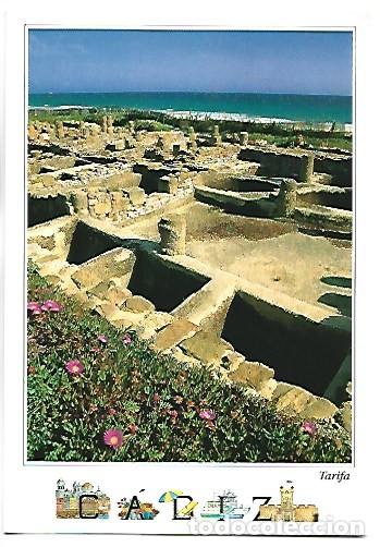 Postales: RUINAS DE BAELO CLAUDIA. BOLONIA. TARIFA.- CADIZ