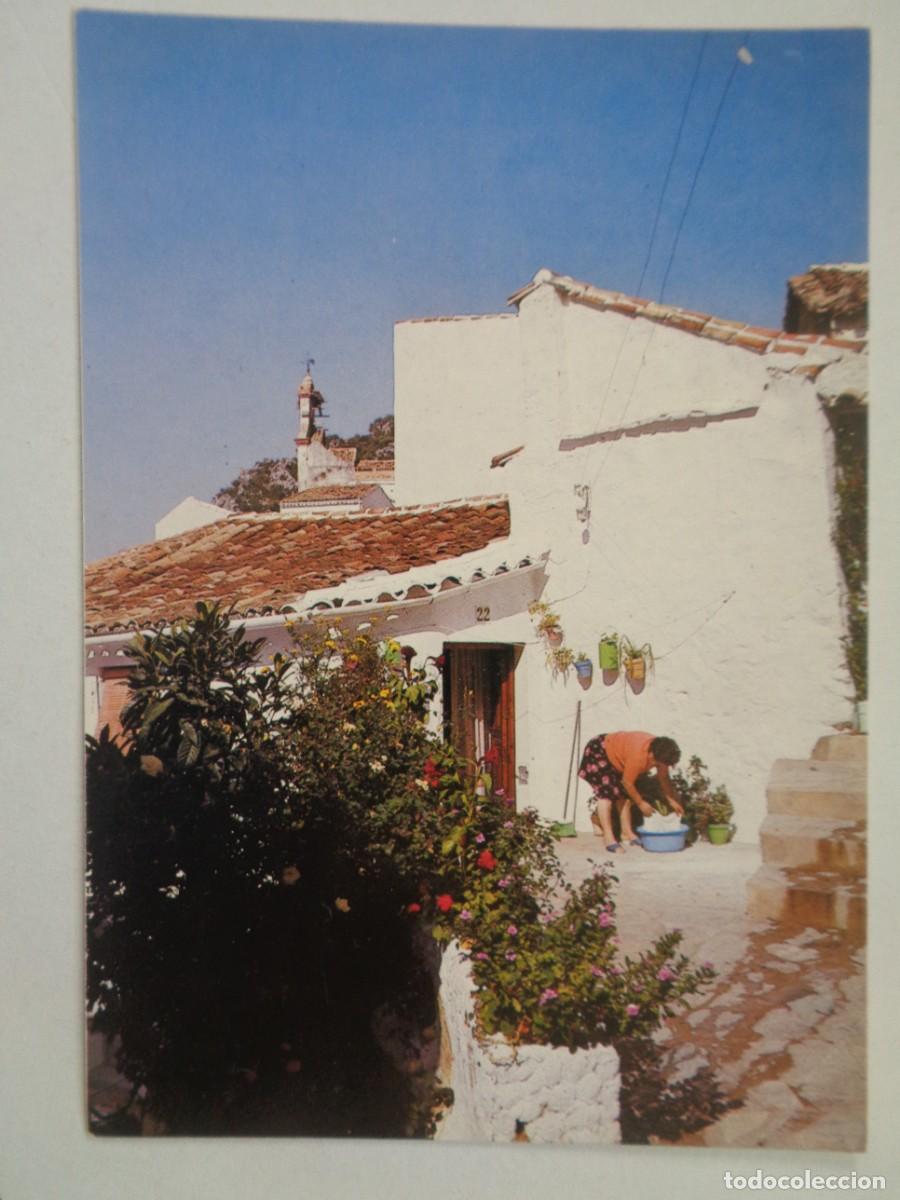 Postales: POSTAL DE UBRIQUE ( CADIZ ): CALLE SAUCO