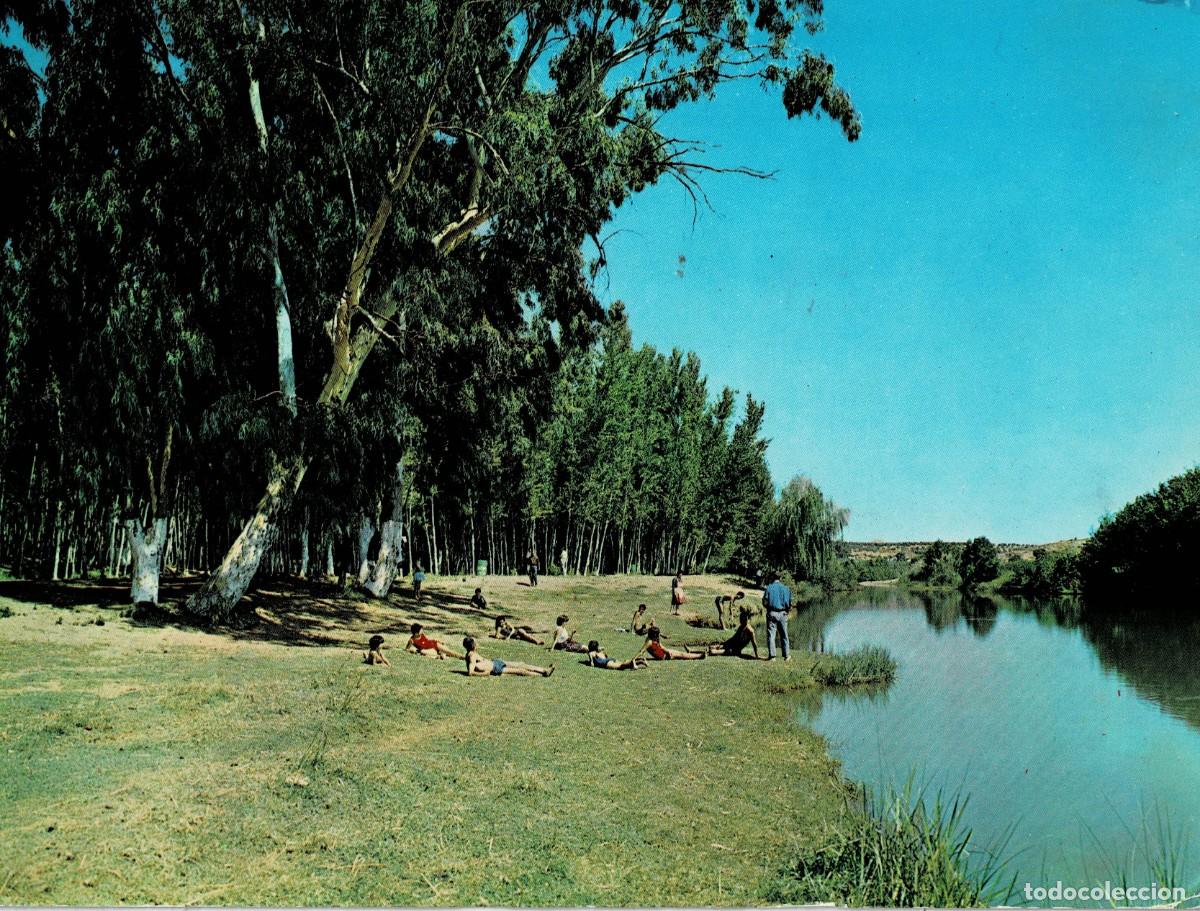 Postales: POSTAL MODERNA DE JAEN. BAILEN. PLAYA LA CHOPERA. P-ANJ-127