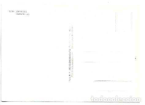 Postales: SIERRA NEVADA.- GRANADA - Foto 2
