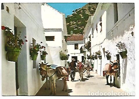 Postales: CALLE TIPICA - THE TYPICAL STREET.- MIJAS