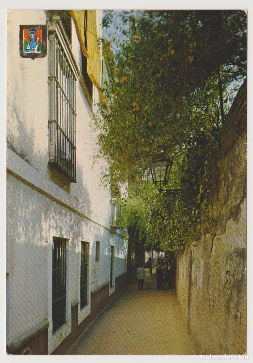 Postales: TARJETA POSTAL - SEVILLA - CALLEJON DEL AGUA, SEVILLA TIPICA - N&ordm; 88 - EDICIONES FISA