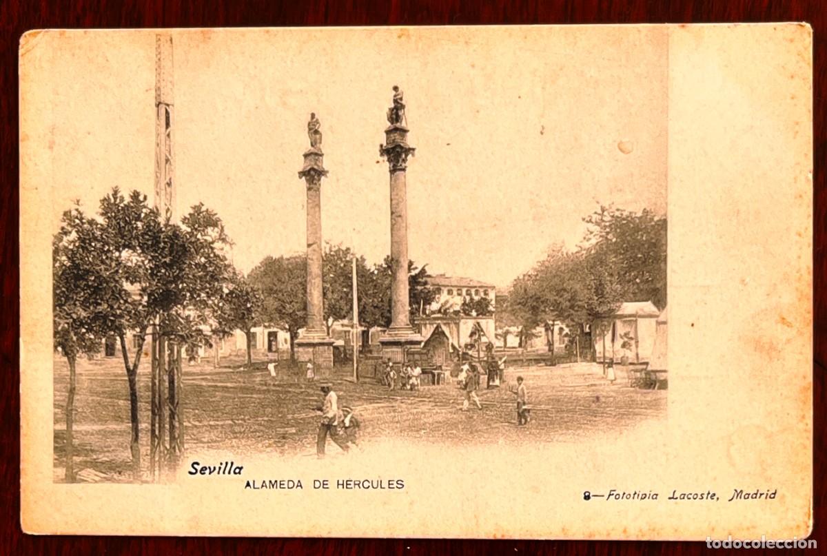 Postales: SEVILLA, ALAMEDA DE HERCULES, LACOSTE, SIN CIRCULAR Y SIN DIVIDIR