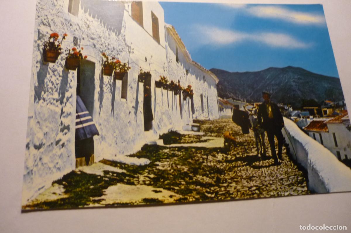 Postales: postal mijas calle tipica