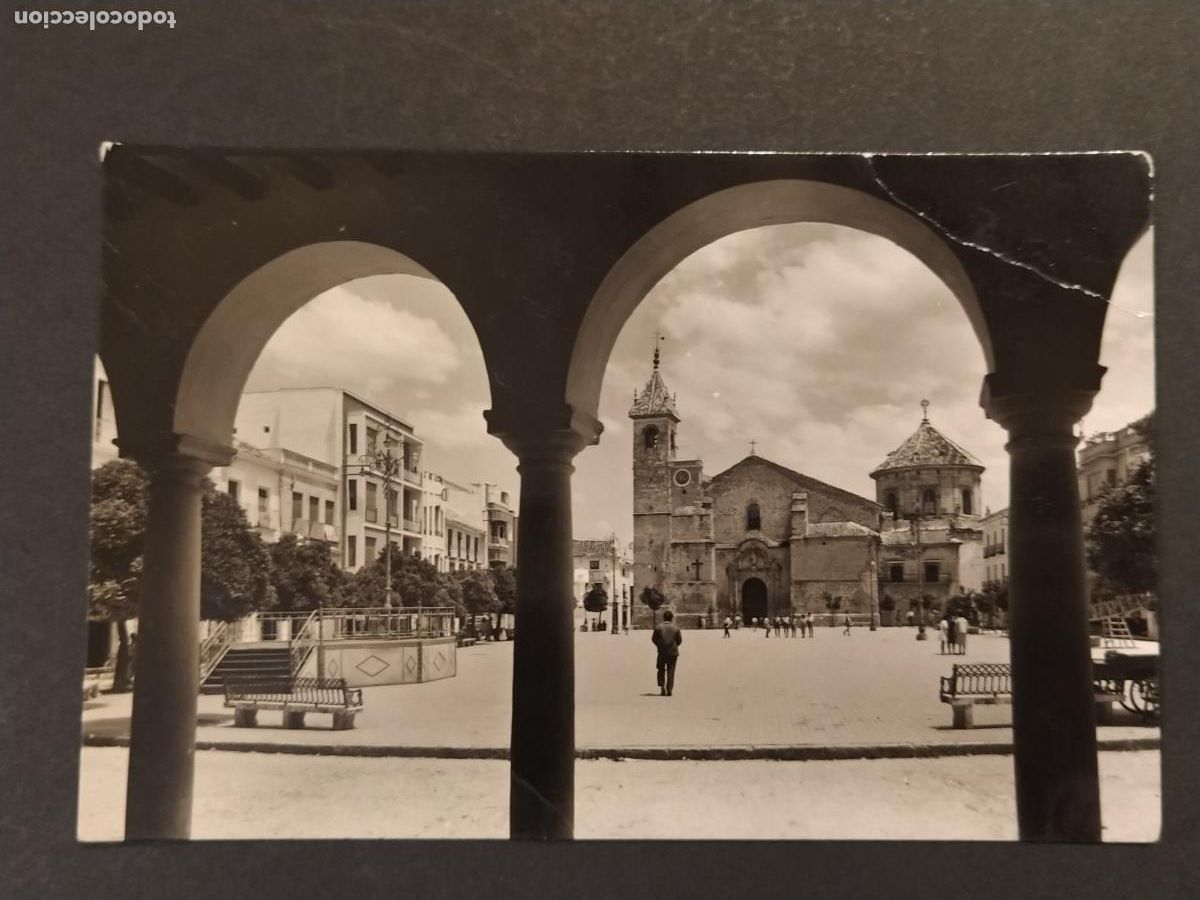 Postales: LUCENA - PLAZA NUEVA - EDICIONES ARRIBAS - POSTAL ANTIGUA -(116.650)