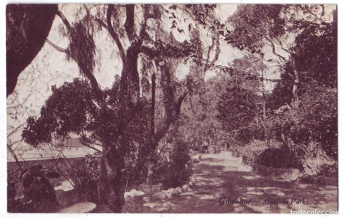 Postales: Gibraltar: Alameda Park. Beanland, Malin & Co. No circulada (A&ntilde;os 10)