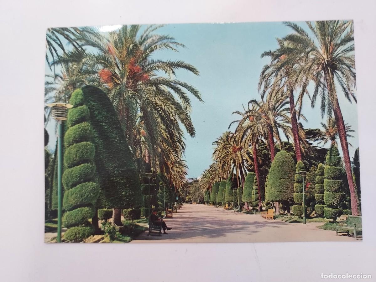 Postales: POSTAL CADIZ PARQUE DE GENOVES. 1967. SIN CIRCULAR
