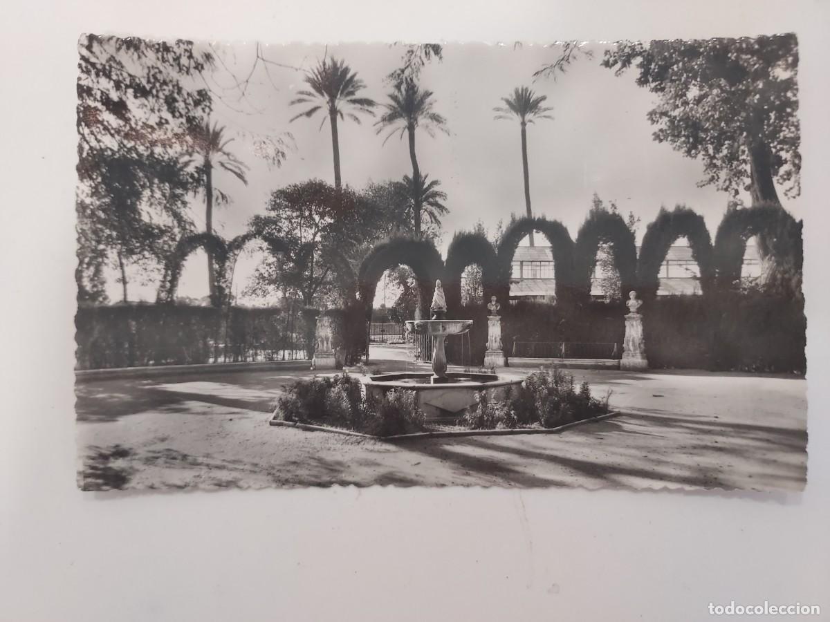 Postales: POSTAL SEVILLA JARDINES DE LAS DELICIAS. A&Ntilde;OS 1940 1950. SIN CIRCULAR. HELIOTIPIA ARTISTICA