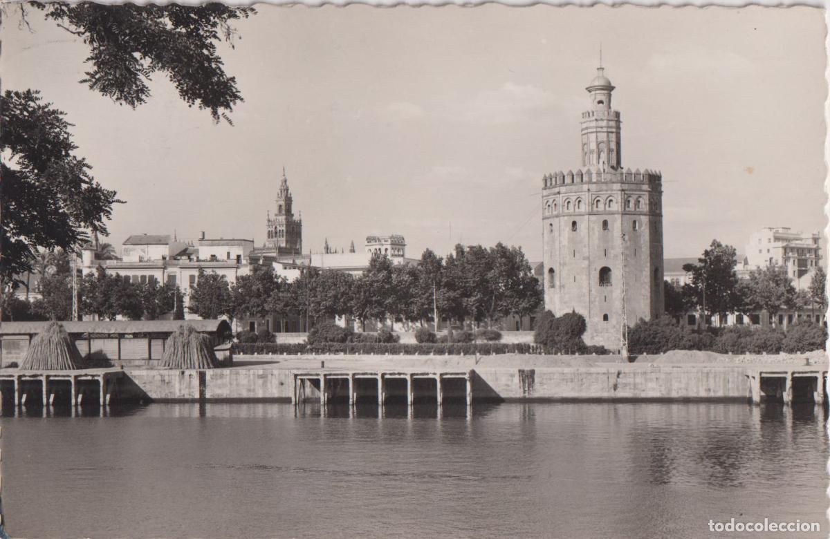 Postales: SEVILLA, RIO GUADALQUIVIR Y TORRE DEL ORO - EDICIONES GARCIA GARRABELLA N&ordm;61 - CIRCULADA 1955