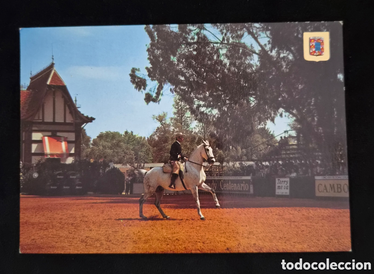 Postales: Postal antigua Jerez de la Frontera &ndash; Exhibici&oacute;n ecuestre &ndash; Caballo