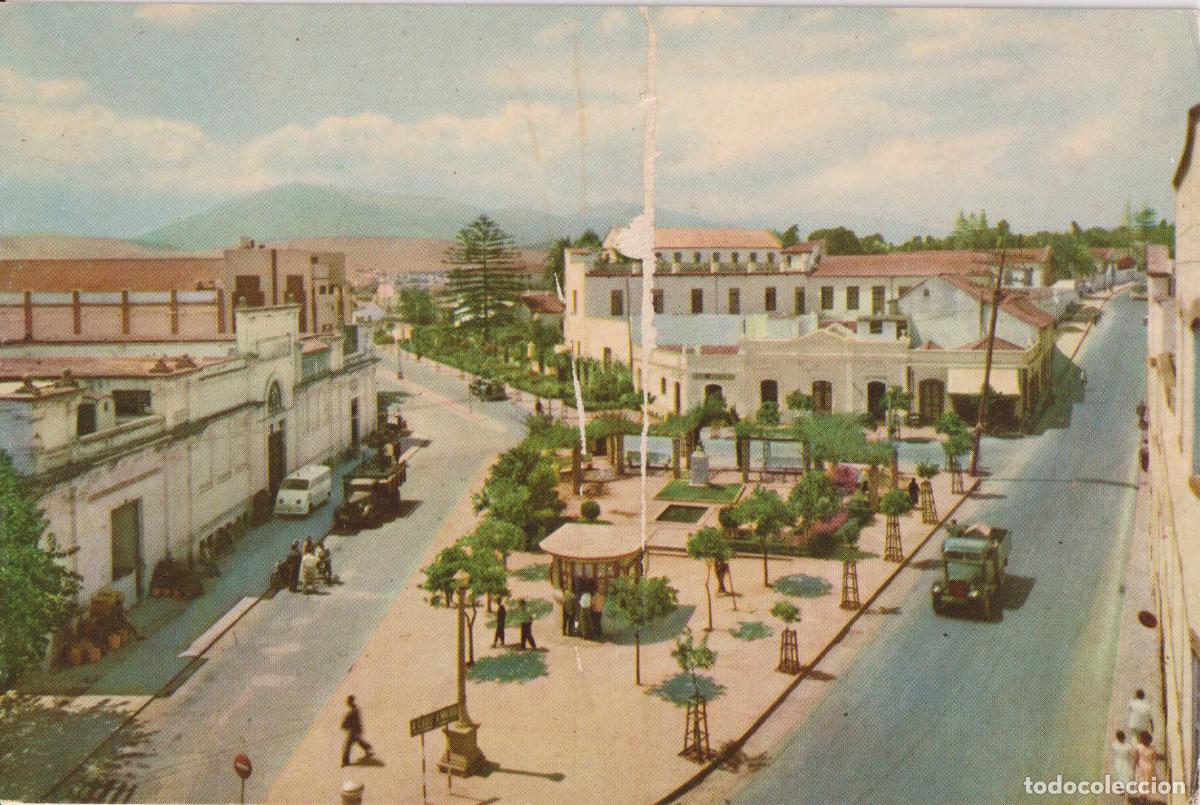 Postales: ALGECIRAS (C&Aacute;DIZ) PLAZA DE JOAQUIN IB&Aacute;&Ntilde;EZ - EDICIONES ALMACENES SUR N&ordm;110 - S/C