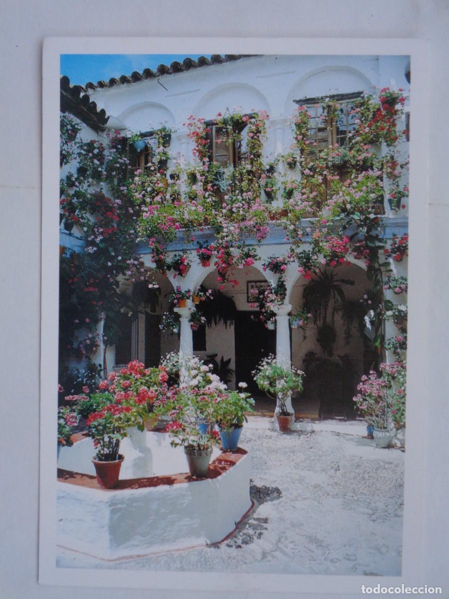 Cartoline: POSTAL DE ANDALUCIA : PATIO ANDALUZ