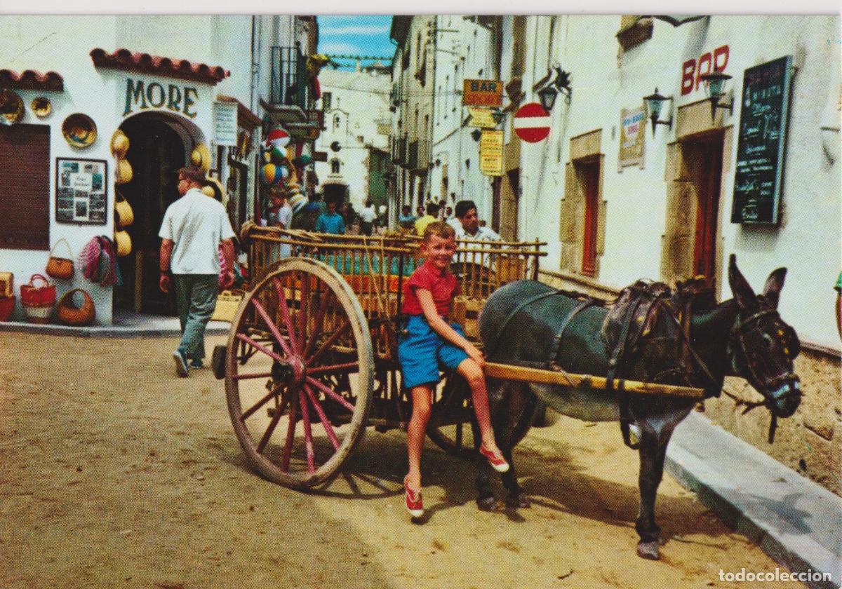 Postales: ESPA&Ntilde;A T&Iacute;PICA Y PAISAJISTICA, EL PACIENTE BORRIQUILLO , REGOCIJO DE MENORES - FOTO J.UBACN PUIG - SC
