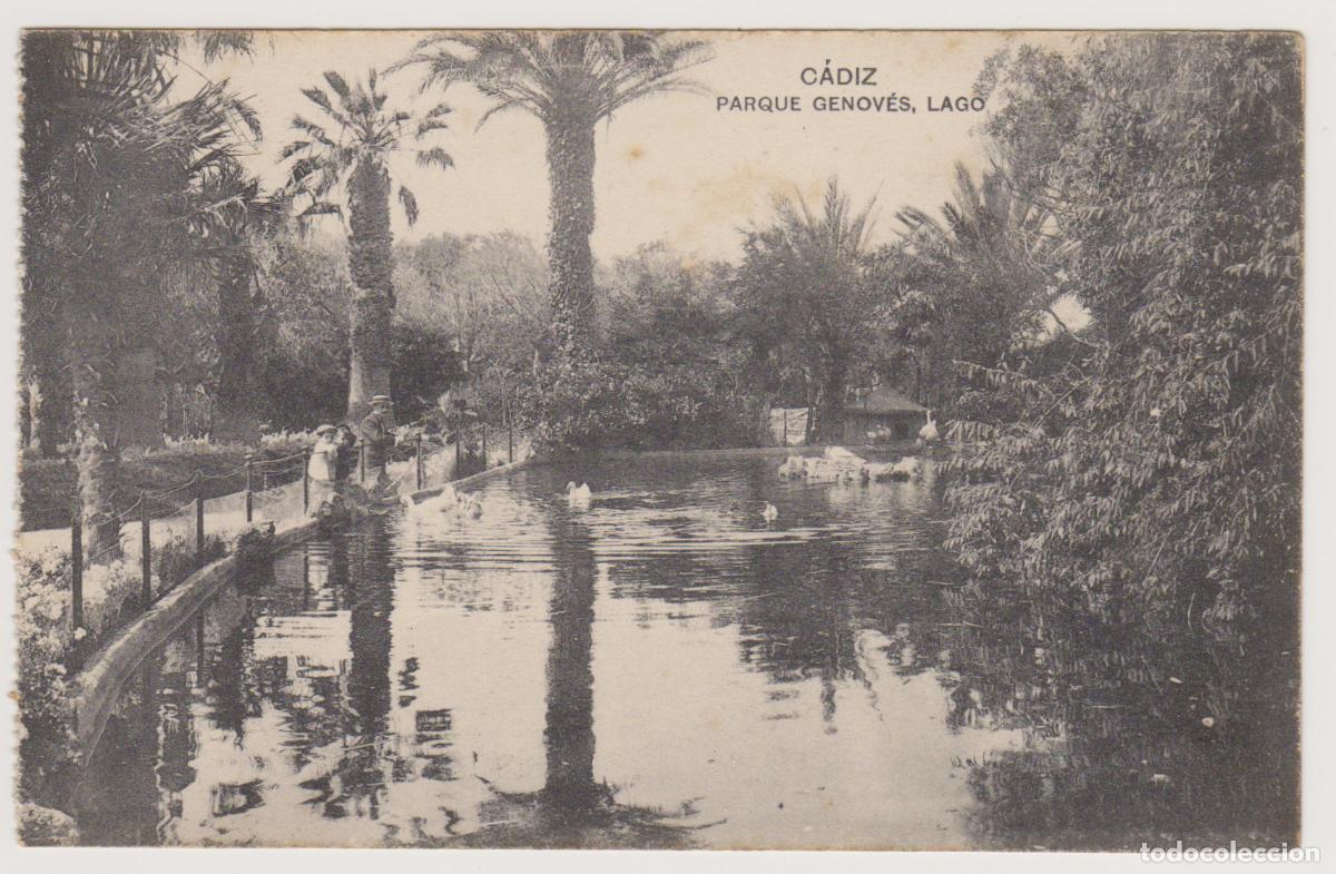 Postales: TARJETA POSTAL - CADIZ - PARQUE GENOVES, LAGO - FOTOTIPIA DE HAUSER Y MENET