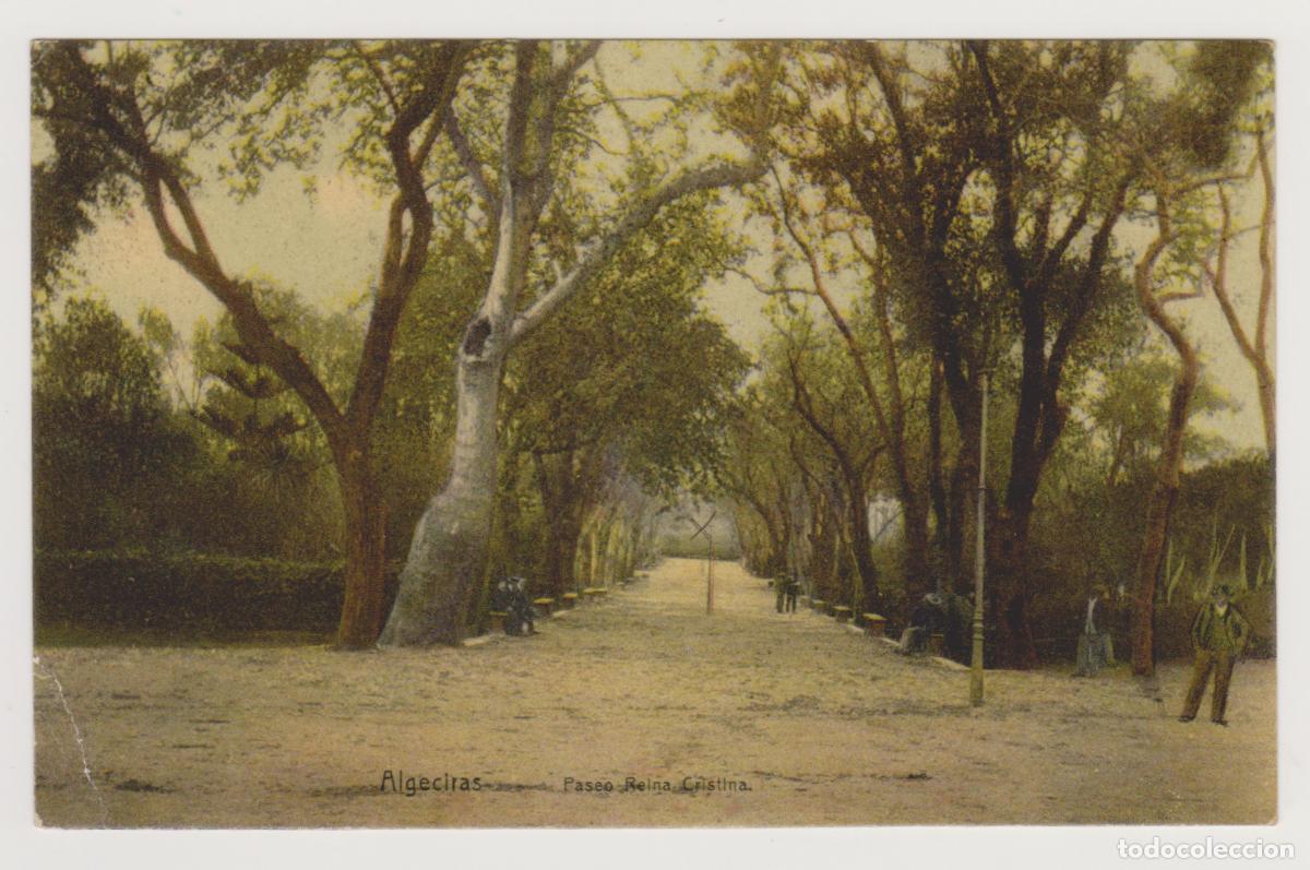 Postales: TARJETA POSTAL - ALGECIRAS - PASEO REINA CRISTINA