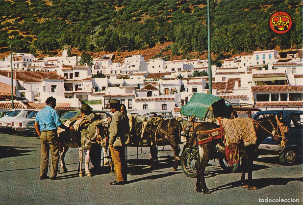 Postales: MIJAS (MALAGA) VISTA PARCIAL - EDICIONES LA CORONA - S/C