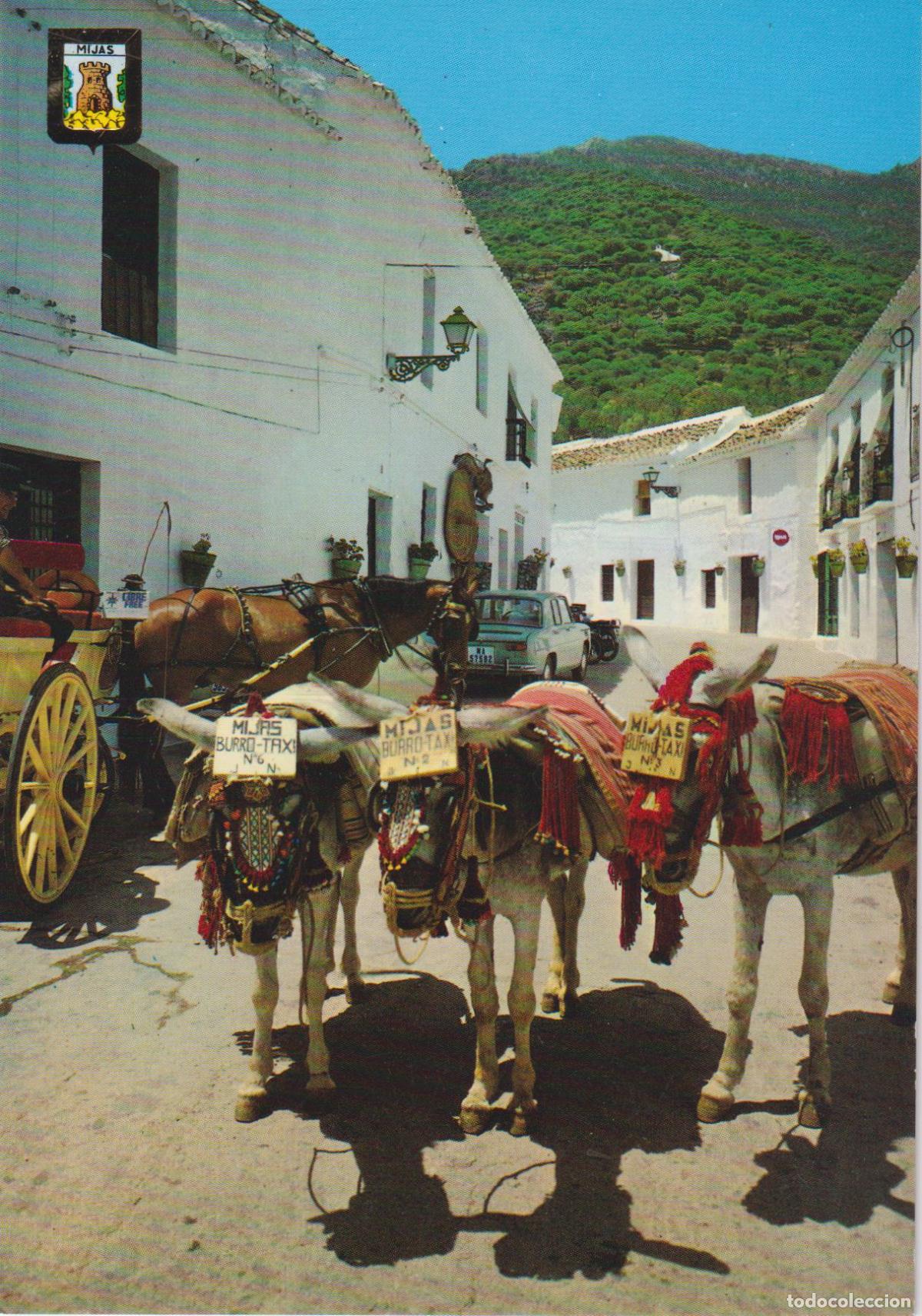 Postales: MIJAS (MALAGA) BURROS-TAXI - ESCUDO DE ORO N&ordm;17 - S/C