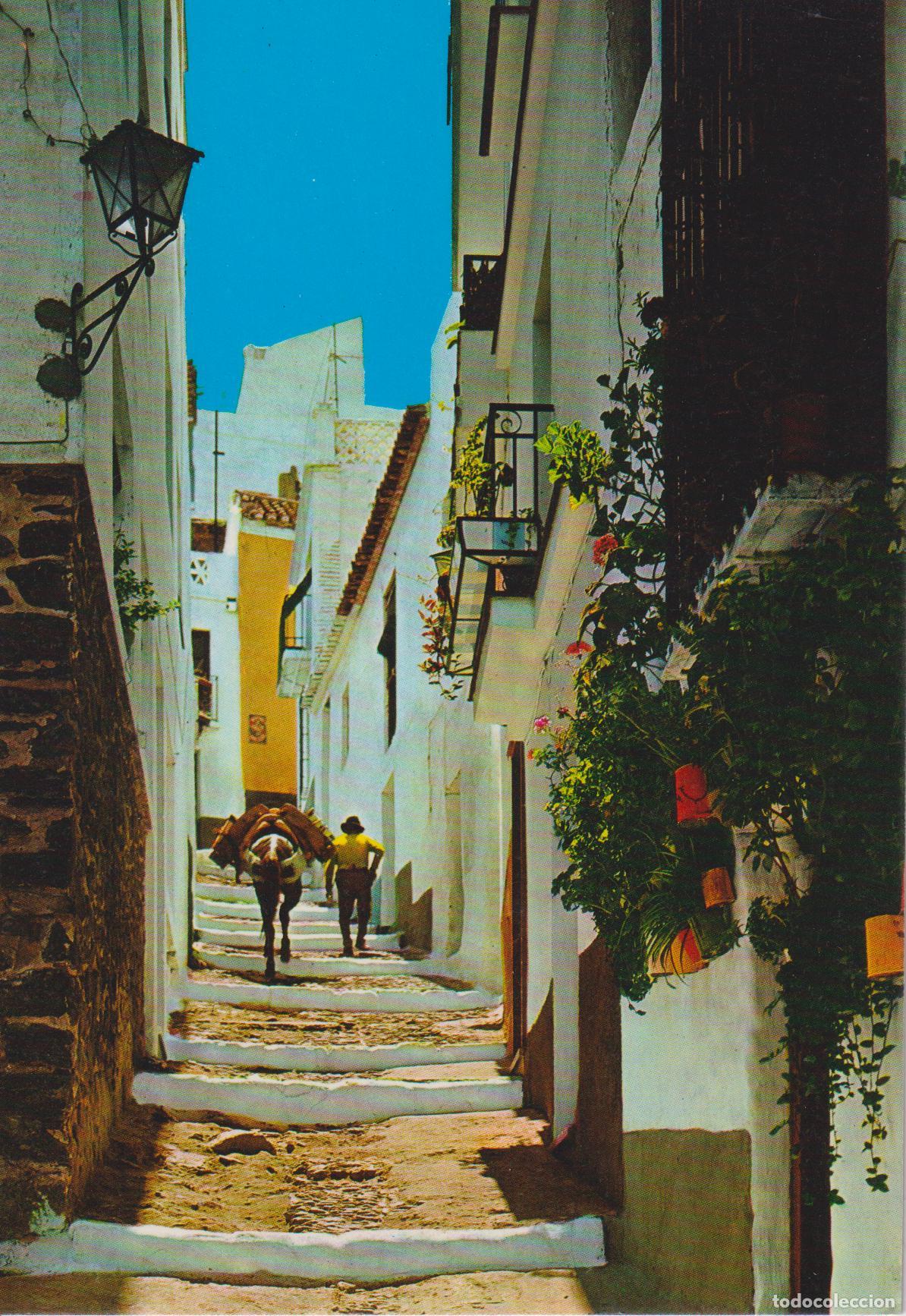 Postales: ALMU&Ntilde;ECAR (GRANADA) CALLE T&Iacute;PICA - EDITA BEASCOA 6239 - ESCRITA