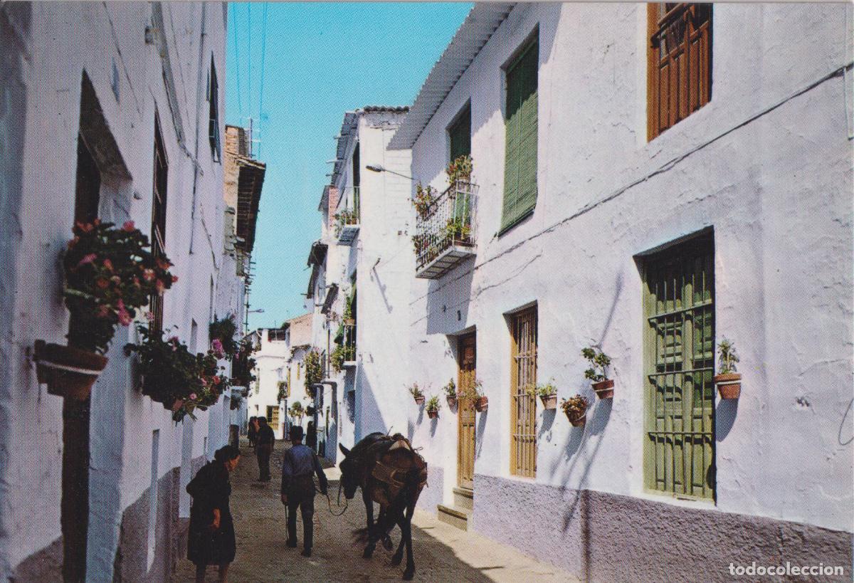 Postales: LANJARON (GRANADA) CALLE T&Iacute;PICA - KOLOR ZERKOWITZ N&ordm;765 - S/C