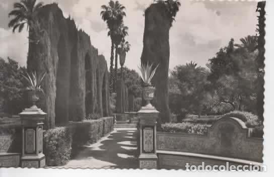 Postales: SEVILLA SIN ESCRIBIR REALES ALCAZARES